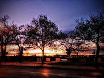 Bare trees at sunset