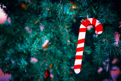 Close-up of christmas decoration hanging on tree