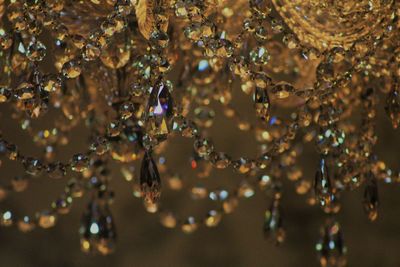 Close-up of water drops on leaves