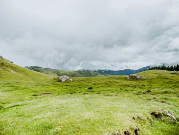 Scenic view of field against sky