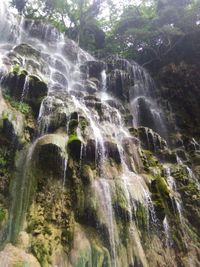 Waterfall in forest