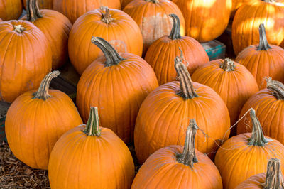 Full frame shot of pumpkins for sale