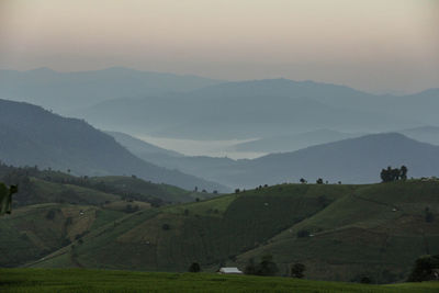 Scenic view of agricultural field against sky