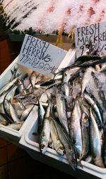 High angle view of fish for sale in market