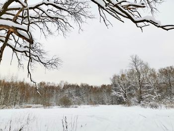 Bare trees on snow covered field against sky