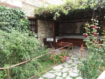 Potted plants outside house