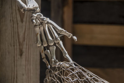 Close-up of rope tied on wood