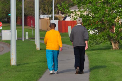 Rear view of senior couple walking on footpath at park