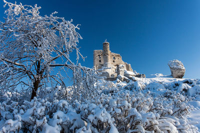 Low angle view of snow covered trees against blue sky