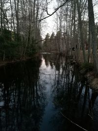 Reflection of trees in lake against sky