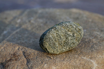 Close-up of rock