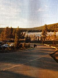 Close-up of abstract pattern against sky