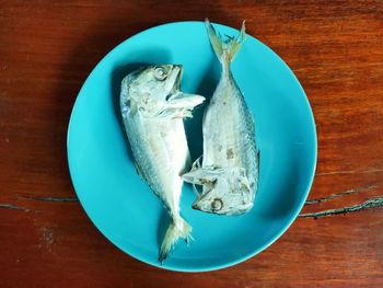 High angle view of fish in plate on table