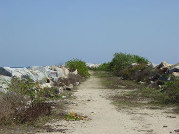 Scenic view of landscape against clear sky