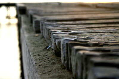 Close-up of wood