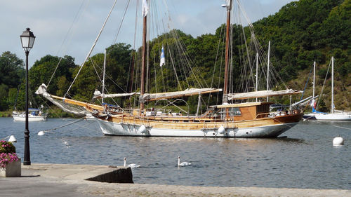 Sailboats moored in sea against sky