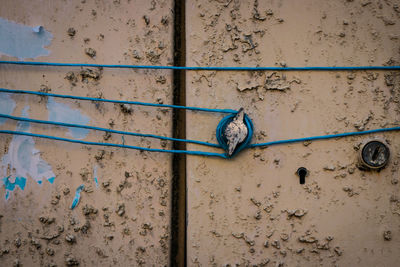 Full frame shot of weathered wall