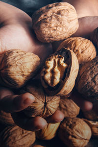 Cropped hand of person holding cookies