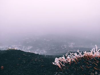 Foggy volcanic landscape