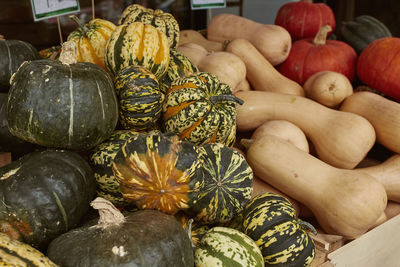 Close-up of pumpkins for sale at market stall