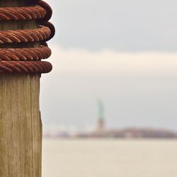 Close-up of plant against blurred background