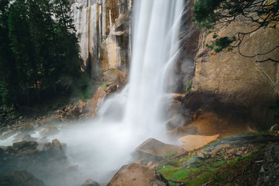 Scenic view of waterfall in forest