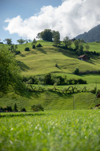 Scenic view of landscape against sky