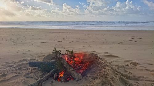 Scenic view of beach against sky
