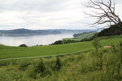 Scenic view of landscape against sky