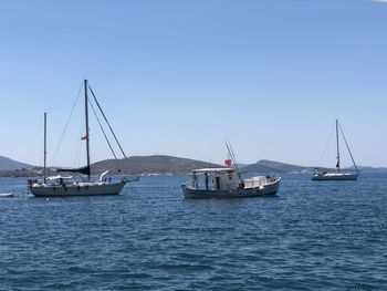 Sailboats sailing on sea against clear sky