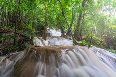 Waterfall in forest