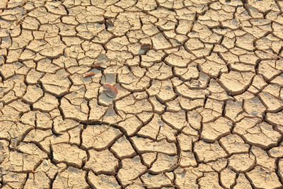 Full frame shot of cracked land