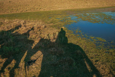 Silhouette shadows of people on horseback reflected on lawn. cambara do sul, brazil.