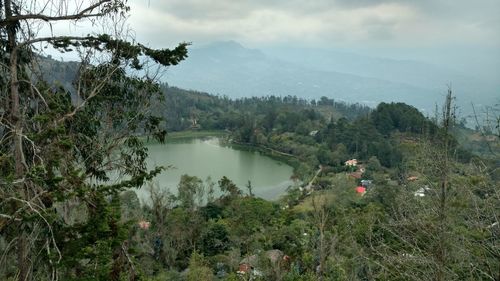 High angle view of plants and lake against sky