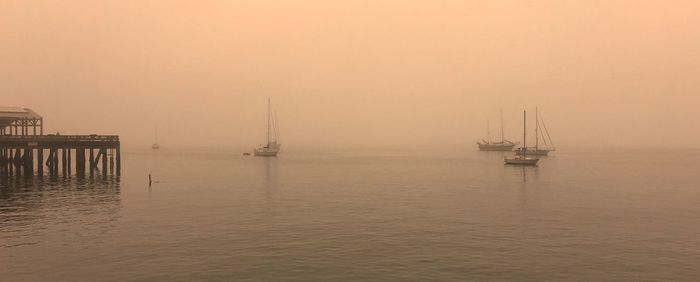 Boats in sea against sky during foggy weather