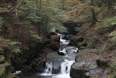 Waterfall in forest