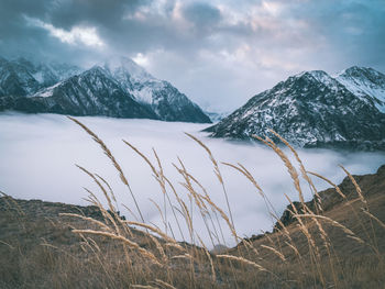 Scenic view of snowcapped mountains against sky