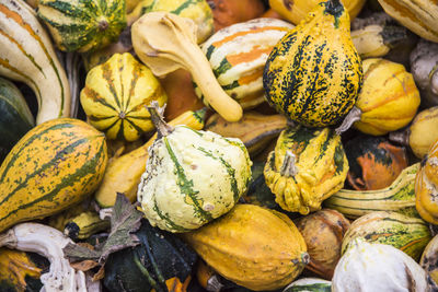 Full frame shot of pumpkins for sale at market stall