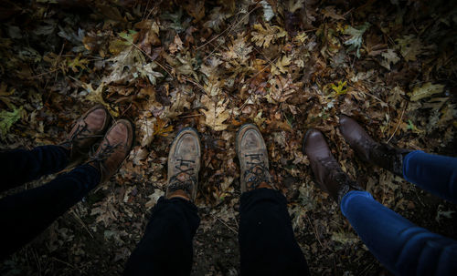 Low section of friends standing on autumn leaves