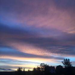 Silhouette trees against dramatic sky