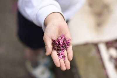 Close-up of woman holding plant