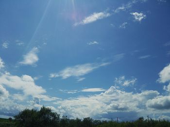 Low angle view of trees against blue sky