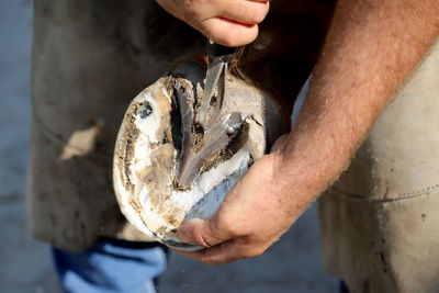 Midsection of man holding fish