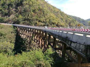 Bridge over river in forest