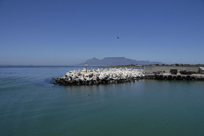 Scenic view of sea against clear blue sky