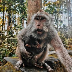 Portrait of mother and her son