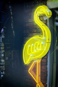 Illuminated lights at night