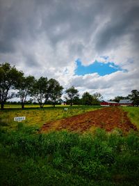 Scenic view of field against sky