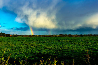 Scenic view of field against rainbow in sky