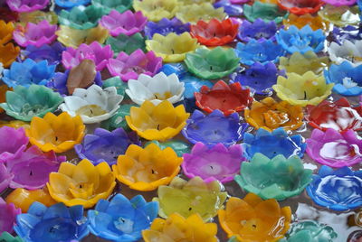 Close-up high angle view of colorful flowers